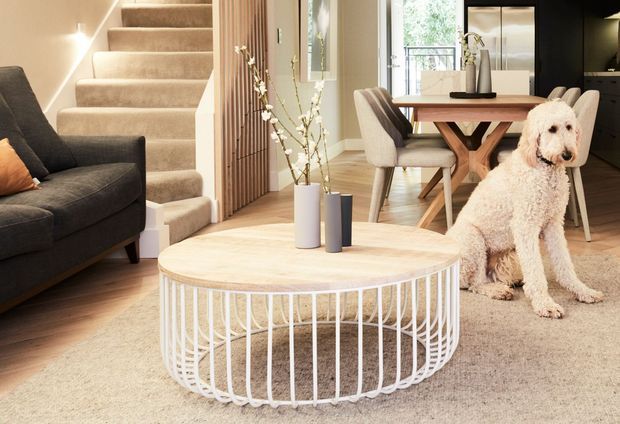 A bright open-plan residential interior combining a living room and dining area. The foreground features a round light-wood coffee table with a white wire base, a dark upholstered sofa, and a neutral textured rug. Behind it is a carpeted staircase with a timber slatted balustrade, a timber dining table with upholstered chairs, and a glimpse of a contemporary kitchen. A dog is present in the room.