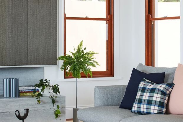 A bright, contemporary living room corner with a grey upholstered sofa, navy and pink cushions, and a plaid accent pillow. White walls and warm timber-framed windows surround a grey stone or concrete built-in media/storage unit, with indoor ferns and trailing plants adding greenery.