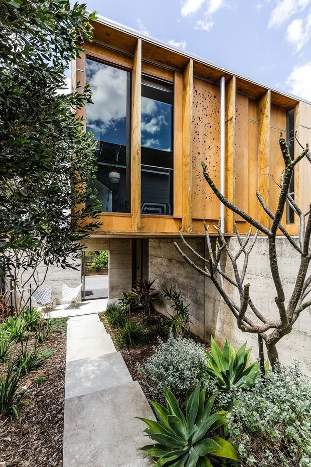 Exterior view of a contemporary two-storey building with a warm timber-clad upper facade, tall glazed openings, exposed vertical structural members, and a raw concrete-block lower level. A narrow concrete walkway passes through a landscaped courtyard garden with drought-tolerant and tropical planting.