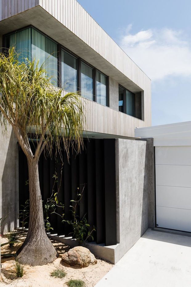 Contemporary two-storey residential facade with pale vertical cladding, exposed concrete surfaces, dark aluminium-framed glazing, and a recessed black entry beneath a projecting upper level. A sculptural tree and drought-tolerant planting sit in a sandy front garden beside a white sectional garage door.