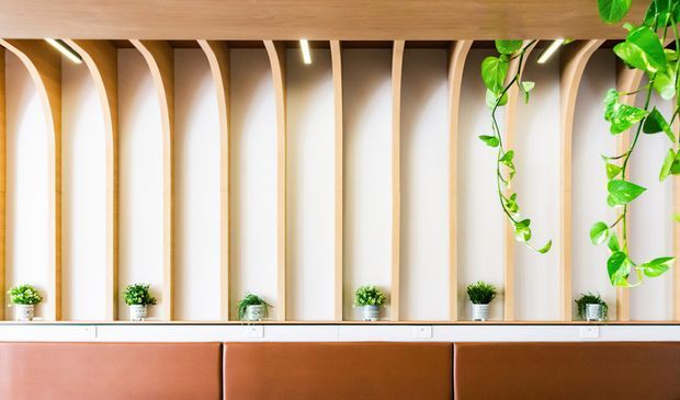 A contemporary interior feature wall with repeated curved timber ribs creating vertical alcoves, softly illuminated by linear lights. Small potted plants sit along a narrow ledge, with trailing greenery suspended from above. A long brown upholstered bench runs across the lower portion of the image beneath a warm timber ceiling.