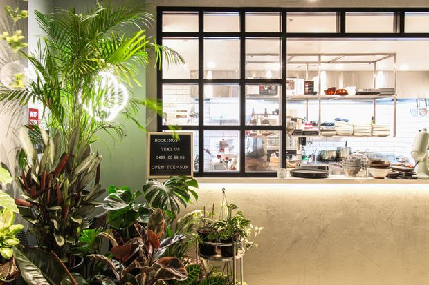 A warmly lit café or small commercial service counter viewed from the customer area. A black-framed internal window partitions the counter from a bright tiled preparation space, with shelves, crockery and equipment visible behind it. The foreground features abundant tropical indoor plants, while the counter front has a textured beige finish and a small chalkboard sign.