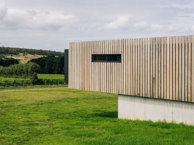 A minimalist single-storey building set in a rural vineyard landscape. The facade is composed of closely spaced vertical light timber battens, with a narrow horizontal dark-framed window and a contrasting smooth white concrete or rendered base. The simple rectangular massing and restrained material palette create a contemporary architectural exterior.