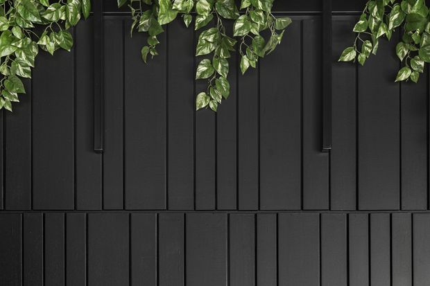 Close-up of a matte black vertically panelled exterior wall or fence, with regularly spaced narrow battens and dark metal vertical hardware. Green leafy vines drape across the top edge, creating a strong contrast against the black surface.