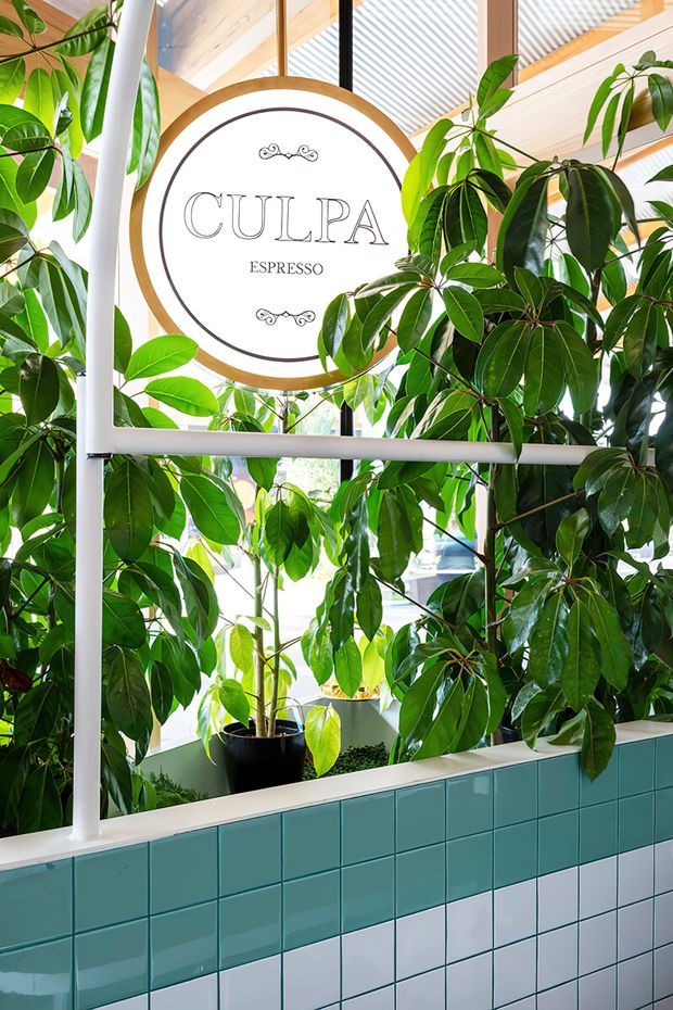 Bright café interior featuring a prominent round 'CULPA ESPRESSO' sign, abundant indoor tropical plants, white structural framing, timber ceiling elements, and a tiled planter or counter wall in teal and white.