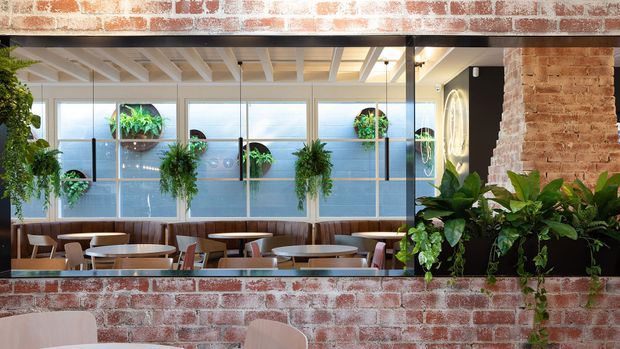 A bright industrial-style commercial interior, likely a café or restaurant, viewed through a brick-framed opening. The space features exposed red brick walls, black steel framing, a white exposed-beam ceiling, large frosted or translucent windows, built-in timber banquette seating, small round tables, and abundant hanging and potted greenery. The palette is warm and earthy with strong natural light and a relaxed atmosphere.