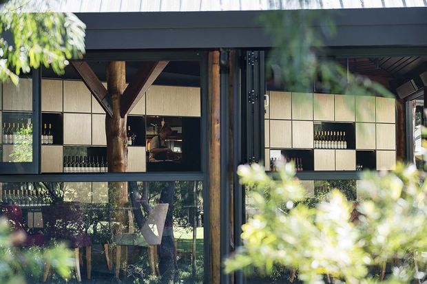 Exterior view through leafy landscaping of a dark-framed, glazed pavilion or entertaining space. The building features extensive floor-to-ceiling glazing, exposed timber tree-trunk posts and braces, dark structural framing, and a wall of pale panelled built-in cabinetry with open bottle storage. A dining or bar area is visible inside, with strong reflections and vegetation in the glass.