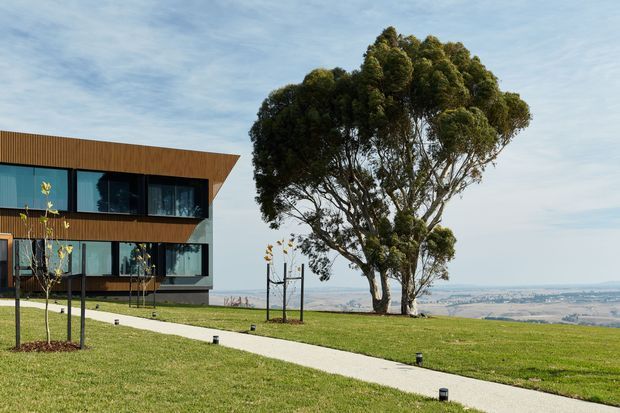 A contemporary two-storey house sits on a gently sloping landscaped site, with a projecting upper level clad in narrow vertical timber battens and extensive dark-framed glazing. A pale concrete path curves across the lawn toward the house, while a large mature tree and expansive distant rural landscape form the setting.