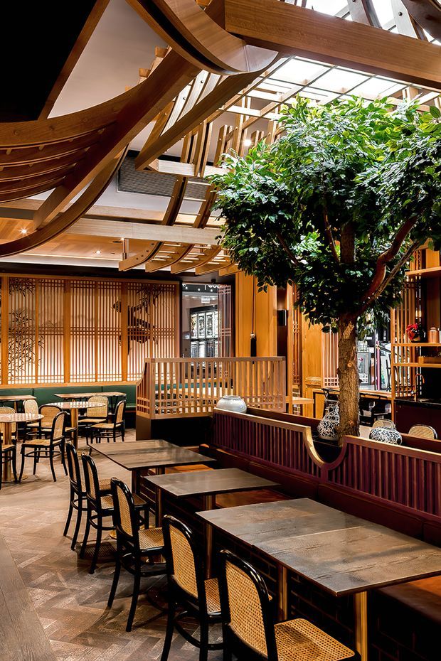 A spacious, richly detailed commercial dining interior, likely a restaurant or hospitality venue. The space features extensive warm timber joinery, Japanese-inspired vertical screens, curved exposed timber roof and ceiling structures, a glazed atrium or skylight, built-in banquette seating, dark wood dining tables, and woven cane chairs. A large indoor tree forms a central feature, creating a warm biophilic atmosphere with layered seating zones and double-height volume.