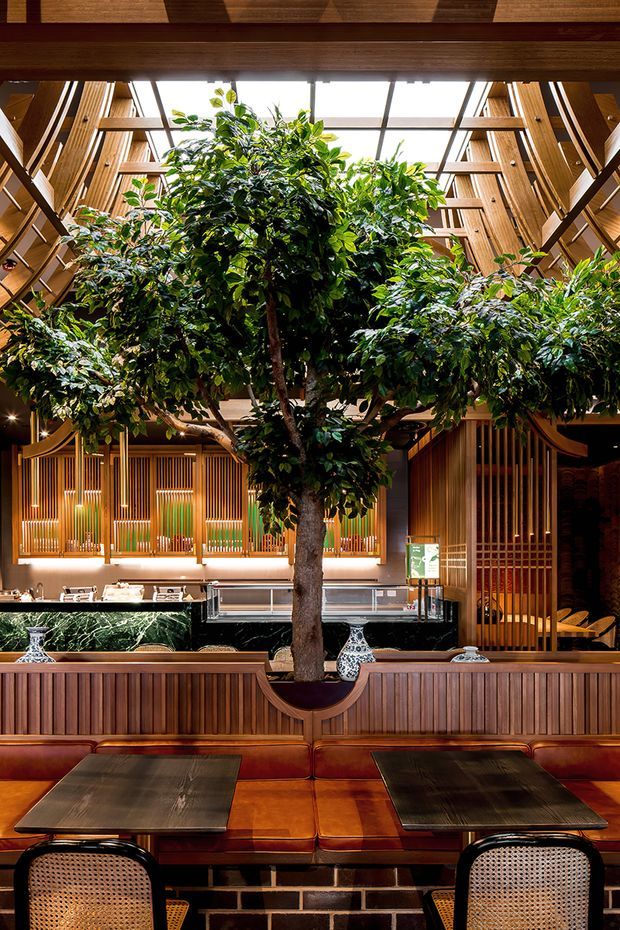 A richly detailed restaurant or hospitality interior centered on a large indoor tree set within a built-in planter and timber banquette. The space features warm vertical timber slats, dark stone or marble counters, amber leather seating, cane-backed chairs, decorative ceramics, and a glazed overhead roof or skylight that brings in abundant natural light. The composition emphasizes biophilic design, layered timber screens, and a dramatic indoor courtyard-like dining setting.
