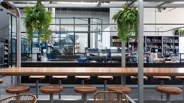 A bright, open-plan commercial hospitality interior with a long timber-topped bar or counter, leather stools, exposed structural framing, black metal-framed glazed partitions, open shelving, and hanging ferns. The space has an industrial café or restaurant character with abundant daylight and a layered view into adjoining work and service areas.