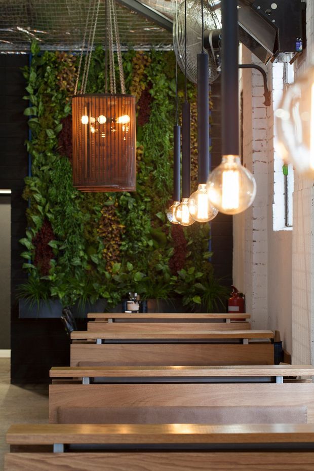 A narrow contemporary commercial interior with rows of built-in timber bench seating, a lush vertical garden wall, exposed white-painted brick, and a series of warm pendant lights. Dark wall cladding and visible ceiling structure contrast with the natural wood and greenery, creating a warm, atmospheric hospitality or communal dining space.