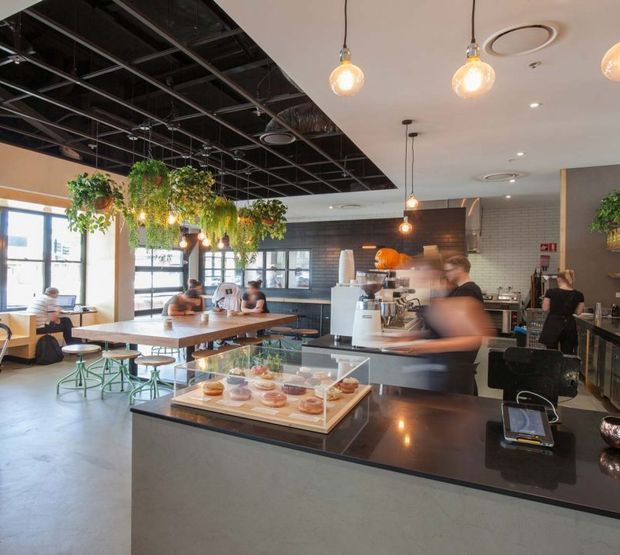 A bright, contemporary cafe interior with a large service counter and pastry display in the foreground, commercial coffee equipment behind it, communal timber tables, stools, pendant globe lights, hanging plants, and an exposed black ceiling grid. The space combines warm timber and greenery with dark counters, charcoal wall tiles, and polished concrete flooring.