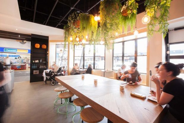 Bright contemporary café interior with a large communal timber table, stools, scattered dining tables, floor-to-ceiling windows, a coffee counter, and abundant suspended greenery beneath an exposed dark ceiling. Warm pendant bulbs and natural light create an inviting atmosphere.