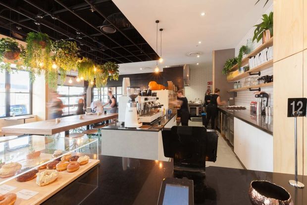 A bright, contemporary café interior viewed from the service counter. The space includes a glossy dark counter and pastry display in the foreground, a central coffee station with commercial espresso equipment, communal timber tables, pendant lighting, open shelving with cups and supplies, indoor hanging plants, and staff working behind the counter. The ceiling combines a white finished section with an exposed black services ceiling, creating a modern hospitality setting.