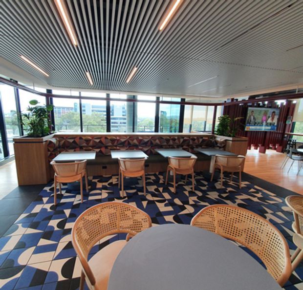 A bright contemporary commercial lounge or café-style breakout area with floor-to-ceiling windows overlooking an urban setting. A long upholstered banquette runs along the glazing with individual dining tables and woven timber chairs, while round tables and cane chairs occupy the foreground. The space features a striking geometric blue, cream and black patterned carpet, warm timber flooring and joinery, indoor plants, dark timber screens, and a linear slatted ceiling with integrated strip lighting.