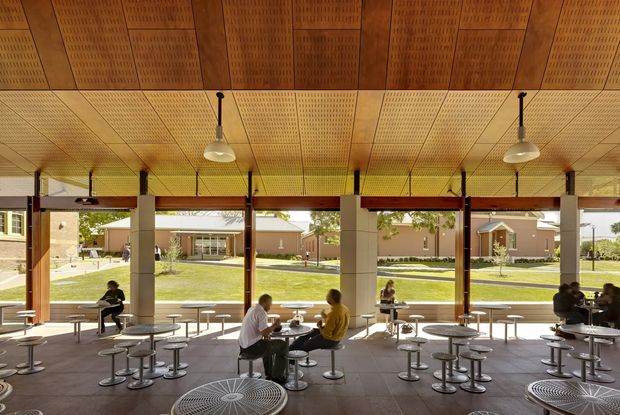 A spacious, open-sided communal dining or student dining hall with extensive glazing and views to landscaped grounds. The interior features rows of round tables and stools, exposed structural columns, suspended pendant lights, and a distinctive perforated timber acoustic ceiling with warm wood tones. The space is bright and informal, with several people seated at tables.