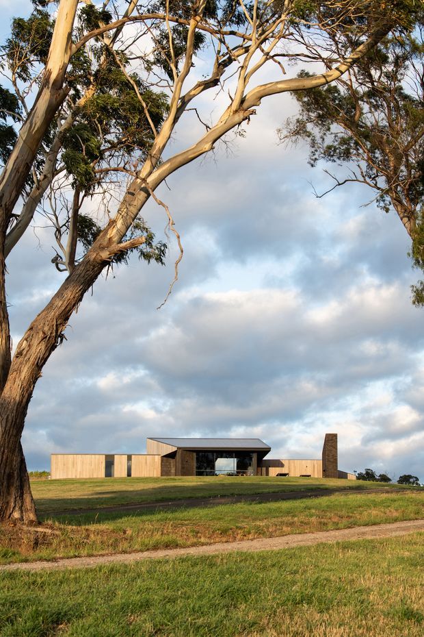 A low, modern rural residence set within open grassland, viewed from a distance beneath a large mature eucalyptus tree. The building consists of several horizontally arranged volumes with warm timber-clad walls, dark recessed glazing, and a prominent dark pitched roof over a central glazed living space. A tall narrow masonry or dark-clad chimney-like element rises near the right side. The scene has expansive sky, grassy foreground, and a strong connection to the surrounding landscape.