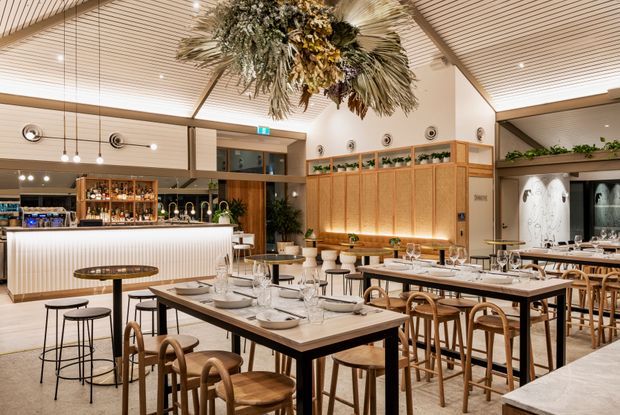 A refined contemporary restaurant interior with a spacious dining area, timber tables and bentwood chairs, marble-topped tables, a ribbed bar, warm timber wall panelling, indoor planter boxes, and a dramatic suspended arrangement of dried botanical foliage. The ceiling features linear slatted detailing with recessed lighting, creating a warm, elegant hospitality setting.