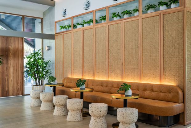 A stylish commercial lounge or reception area with a long caramel leather banquette, small round tables, and sculptural terrazzo stools. The space features warm timber and woven cane wall panelling, integrated planter boxes with greenery, wood-look flooring, and a glazed entry area with abundant natural light. The overall design is refined, warm, and contemporary with strong biophilic and mid-century-inspired elements.