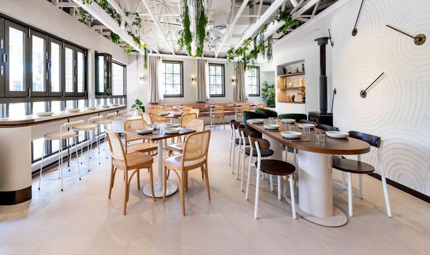 Bright contemporary commercial dining and café interior with multiple round and rectangular timber tables, mixed wooden and upholstered seating, a long service counter beneath large black-framed windows, open shelving, hanging greenery, and a sculptural white textured feature wall. The space has a high exposed white structural ceiling with suspended planting and abundant natural light.