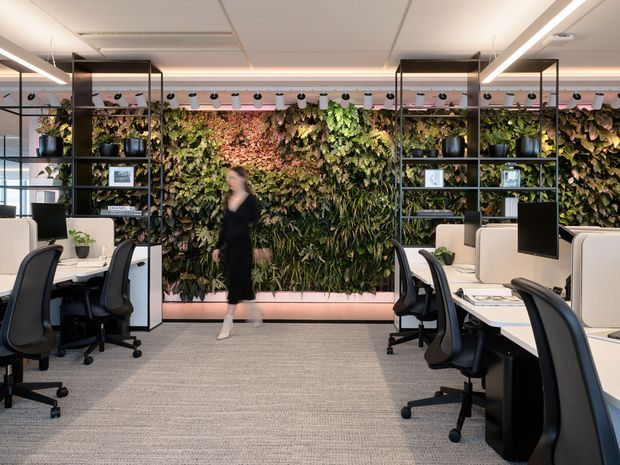Contemporary open-plan office interior with rows of workstations arranged along both sides of a central walkway. Black-framed shelving units with decorative objects flank a prominent living green wall of dense planted foliage. White desks, black ergonomic office chairs, pale upholstered acoustic-style partitions, linear LED lighting, a suspended grid ceiling, and grey carpet create a clean, biophilic workplace environment.