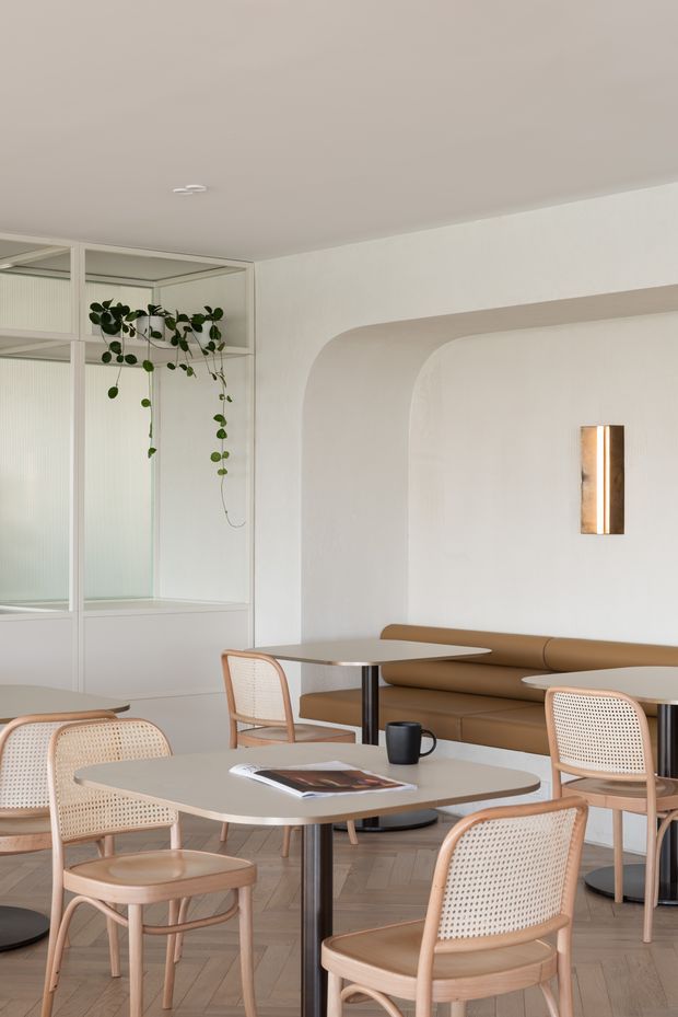 A softly lit contemporary café or hospitality interior with a neutral palette, pale timber parquet flooring, rounded cream wall niches, and a built-in tan banquette. Multiple light timber and woven cane chairs surround rounded rectangular tables with dark pedestal bases. A glazed partition with a trailing plant, compact wall sconce, and minimal detailing create a calm, refined atmosphere.