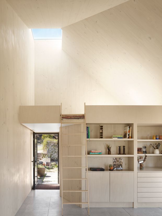A bright, compact interior with pale timber-lined walls, ceiling, and integrated built-in shelving. A tall ladder leads to an upper storage loft or mezzanine-like level, while open bookshelves, drawers, and concealed cabinetry occupy the right side. A glazed door opens to a small garden courtyard, and a roof skylight brings in strong natural light. The space has a clean, highly integrated minimalist design with a concrete floor.