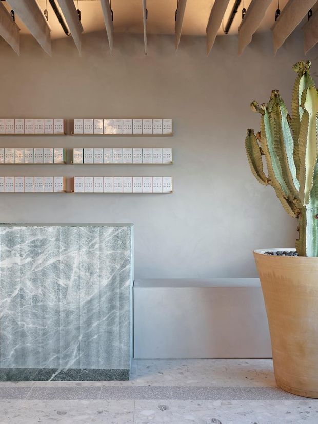 A refined commercial interior with a pale plaster wall, exposed timber ceiling beams, slim black track lighting, and three rows of small white display cards or product samples mounted on timber shelves. A large textured grey stone or marble-fronted counter occupies the lower left, while a tall sculptural cactus in a terracotta planter stands to the right. The space has a soft, neutral palette and a curated gallery-like feel.