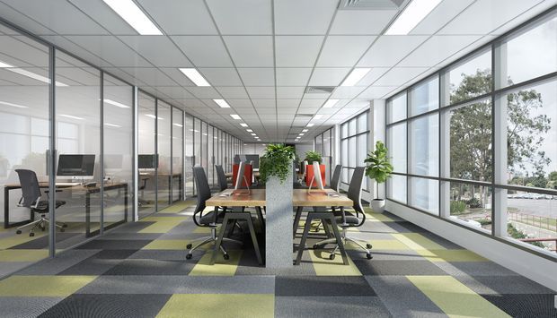A bright contemporary open-plan office with rows of shared workstations arranged along a central planted divider. Full-height glazed partitions define meeting rooms or offices on the left, while expansive windows on the right provide abundant daylight. The space features a suspended acoustic ceiling with recessed linear lighting and a geometric carpet in charcoal grey, light grey, and lime green.