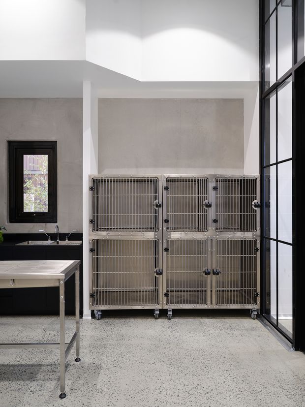 A bright, high-ceilinged utilitarian interior featuring a large stainless-steel multi-compartment animal kennel or storage enclosure on casters. The room has polished speckled concrete or terrazzo flooring, white walls and ceiling, black-framed steel glazing and doors, and a black built-in sink and workbench area along the left wall. A stainless-steel worktable occupies the foreground.