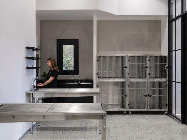A bright, utilitarian grooming or animal-care workspace with a stainless-steel wash bench and large stainless-steel kennel units. The room has polished concrete or terrazzo-style flooring, textured grey walls, white overhead cabinetry, black-framed glazing, a compact sink area, and wall-mounted shelving. The image has a clean, industrial and highly functional character.