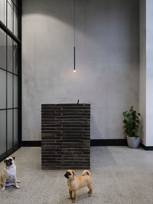 A tall, minimalist industrial-style interior with a high raw plaster wall, full-height black-framed glazing on the left, a suspended linear pendant light, and a freestanding dark brick or masonry feature element in the centre. The floor appears to be polished or speckled concrete/terrazzo. A potted plant and two dogs are present, but the space is otherwise sparsely furnished.