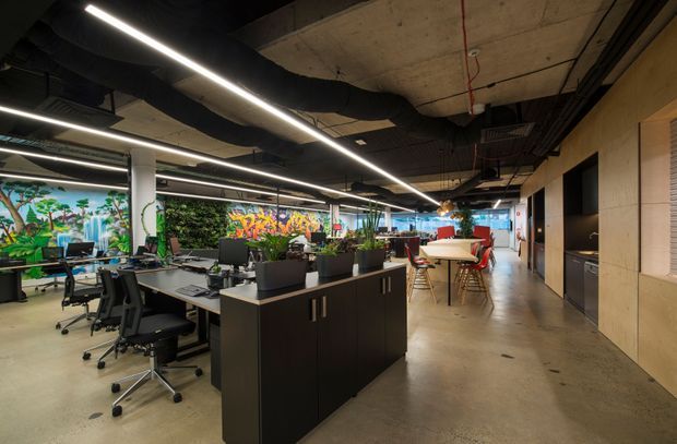 An open-plan contemporary office interior with rows of workstations, black office chairs, dark fixed storage islands, and large planters. The space has polished concrete flooring, exposed concrete and services overhead, linear LED lighting, and a vibrant botanical mural along the glazed exterior wall. A casual breakout or meeting area with a long table and red chairs is visible in the background.