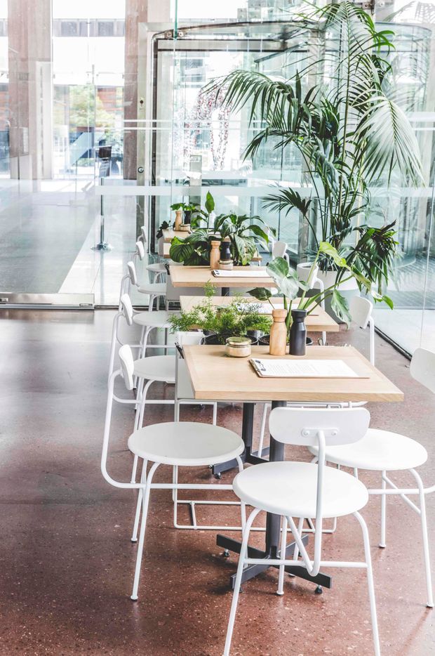 Bright contemporary commercial interior with rows of light timber tables and white chairs arranged beside full-height glass walls. Abundant potted tropical plants create a biophilic dining or café-like setting, with polished concrete or terrazzo-style flooring and a spacious open-plan atmosphere.