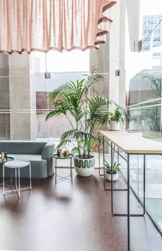 Bright contemporary commercial interior with a casual lounge and work area beside full-height glazing. The space features polished terrazzo or concrete flooring, exposed speckled concrete structural columns, a pale timber work counter with slender black metal supports, grey upholstered seating, potted palms, and translucent blush-pink scalloped curtains. Reflections and a neighbouring urban building are visible through the glass.