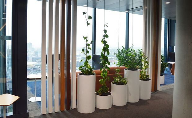 A bright contemporary commercial interior with floor-to-ceiling windows overlooking a city, vertical timber and white partition slats, tall cylindrical planters with indoor greenery, lounge seating, and carpeted flooring.