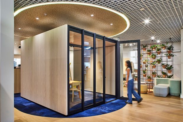 Contemporary commercial office interior featuring a glass-enclosed meeting room with black metal framing, pale timber wall panels, patterned blue carpet, and a curved perforated wood ceiling feature with integrated lighting. The open-plan workspace includes a decorative plant shelving wall, soft seating, and a gridded ceiling.