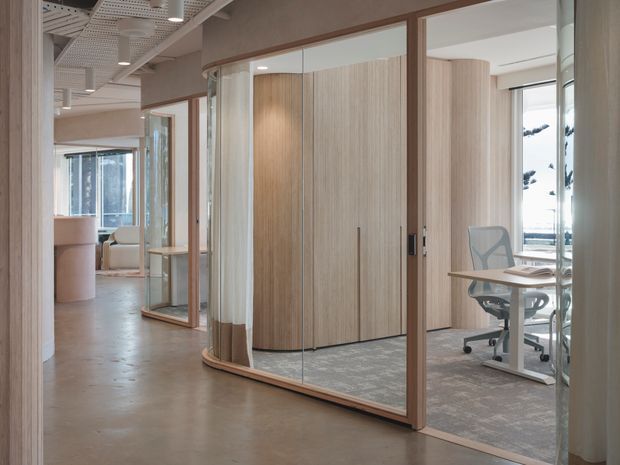 A bright contemporary office interior viewed from a corridor, featuring glazed meeting-room partitions with warm timber framing, curved light-wood acoustic or joinery walls, an open workstation, carpeted office areas, and a polished concrete-look corridor floor. The space has an exposed perforated ceiling with suspended linear lighting and abundant natural light.