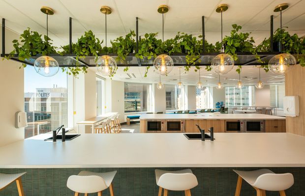 Bright contemporary commercial kitchen and communal dining space with a long white island counter, integrated sinks and appliances, timber cabinetry, bar stools, large windows, and a striking overhead installation of hanging globe lights and suspended greenery.