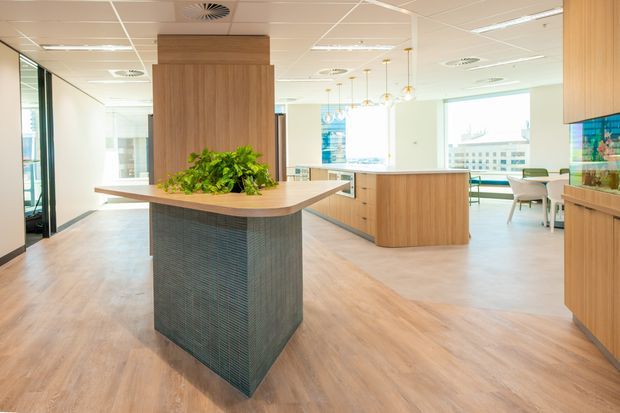 Bright contemporary commercial interior with a central reception or service island, warm timber cabinetry and flooring, a dark textured tiled island base, suspended pendant lights, and large windows overlooking an urban setting.