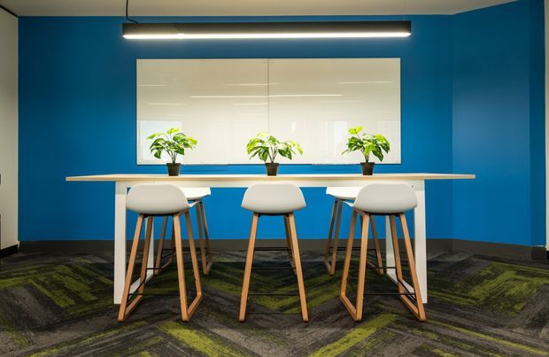 A contemporary communal workspace or breakout area with a long light-wood table, six white molded chairs with timber legs, and three potted plants arranged in front of a large interior window or glazed panel. The room has vivid blue walls, dark patterned carpet with green accents, and a slim linear pendant light.