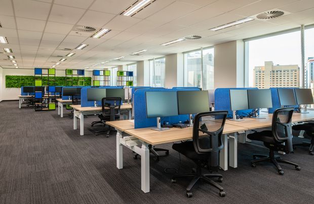 Bright open-plan commercial office with rows of shared workstations, blue acoustic desk screens, computer monitors, ergonomic task chairs, light timber desks, and grey carpet. Large windows provide abundant daylight and views of neighbouring city buildings. Green planted wall panels and colourful storage elements add visual interest at the rear.