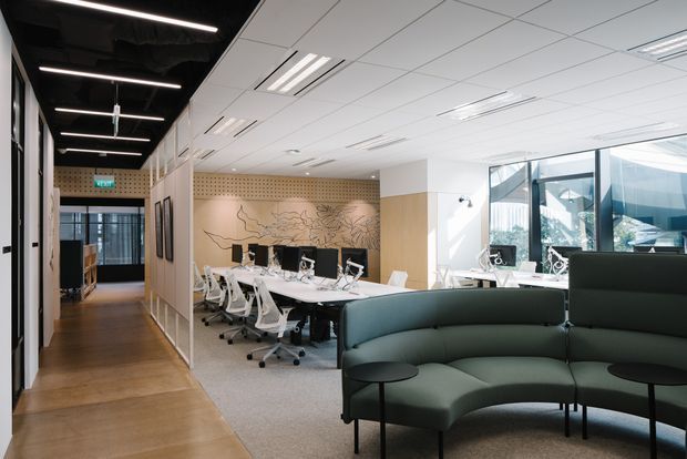 A bright contemporary open-plan commercial office interior with a long workstation area, multiple computer desks and ergonomic office chairs, a curved dark green lounge sofa in the foreground, and large glazed windows along the right side. The space combines a timber-finished corridor and cabinetry with pale acoustic wall panels, a decorative line-art feature wall, exposed black ceiling services in the corridor, and suspended white ceiling tiles with integrated linear lighting over the main workspace.