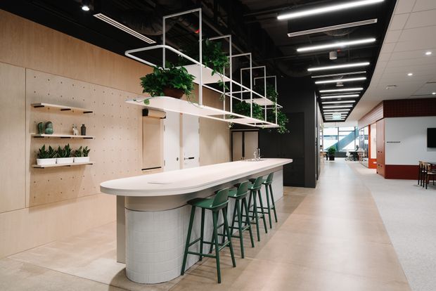 A contemporary commercial interior featuring a long curved communal island with a pale solid-surface benchtop, cylindrical tiled support, and green bar stools. Suspended white geometric frames hold potted greenery above the island. The space has light timber wall panelling with open shelving and plants, a black exposed-services ceiling with linear pendant lighting, polished pale flooring, and a corridor leading toward additional work or dining areas.