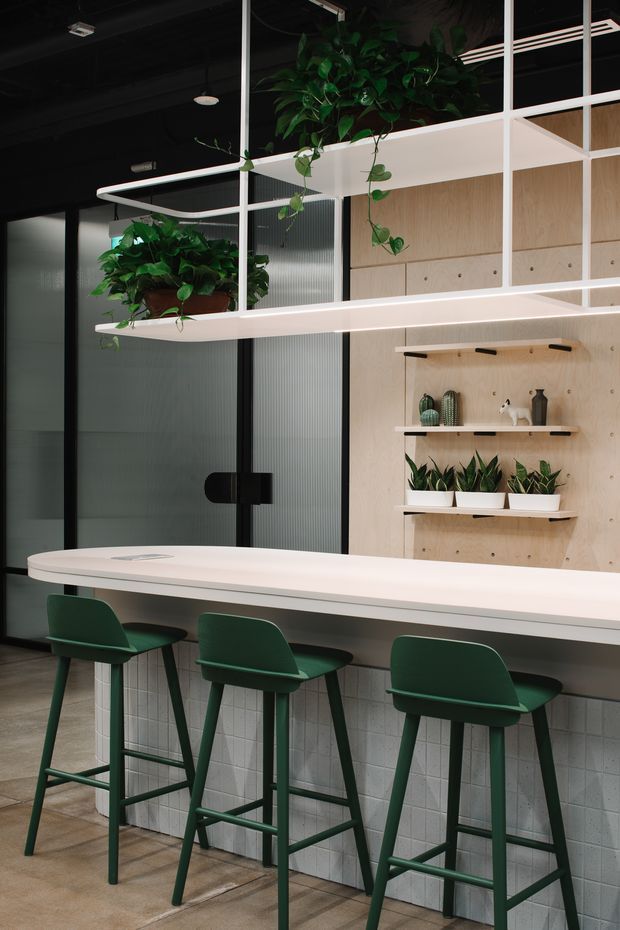 A contemporary commercial-style communal workspace or cafe counter with a long white curved benchtop, green bar stools, pale tiled front, and light timber shelving displaying potted plants and small decorative objects. White-framed glazed partitions and suspended planter shelves divide the space, while a dark ceiling creates contrast. The overall design is refined, modern, and plant-filled.