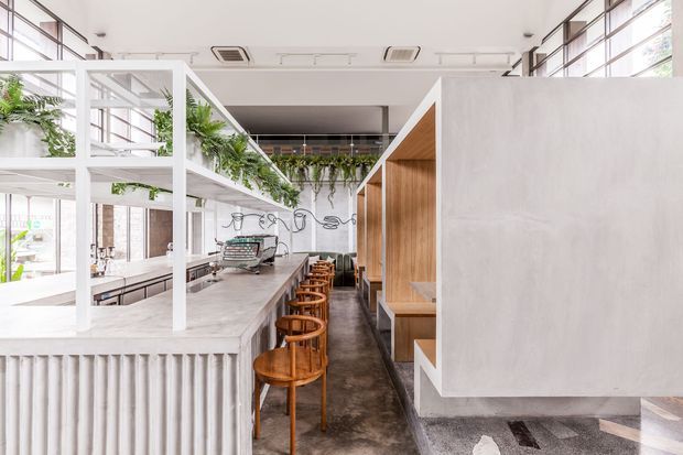 Bright contemporary commercial hospitality interior, likely a cafe or restaurant, with a long stone-topped counter and timber stools, booth seating, white framed shelving with trailing plants, polished concrete flooring, timber-lined wall niches, and extensive upper-level glazing. The space has a clean, airy, refined character with strong natural light and a restrained neutral palette.