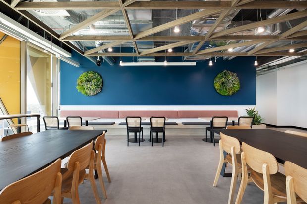 A bright contemporary communal dining and breakout area with long dark tables, light timber chairs, a built-in upholstered bench along a deep blue feature wall, and circular living-wall installations. The space has an exposed timber truss ceiling with visible services, linear pendant lighting, polished concrete flooring, and extensive glazing.