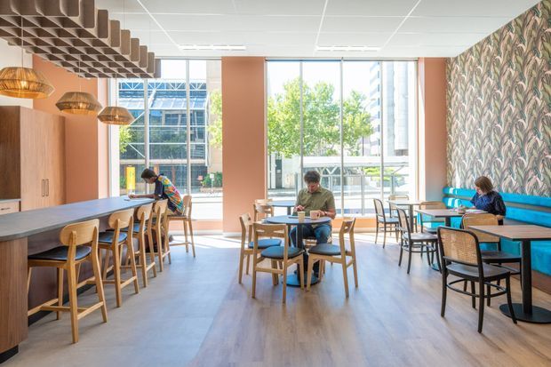 Bright contemporary commercial café or hospitality interior with floor-to-ceiling windows, timber dining furniture, blue upholstered banquette seating, a patterned botanical feature wall, pendant lights, and a decorative timber acoustic ceiling feature. Several patrons are seated at tables, and a service counter with stools occupies the left side.