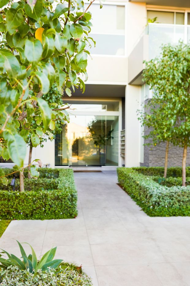 A landscaped entrance walkway leading to a contemporary multi-storey building. The path is framed by neatly clipped box hedges, mature leafy trees, and low planting beds, with pale concrete paving, large glazed entry doors, white rendered walls, projecting upper-level volumes, and a grey stone-clad feature wall.